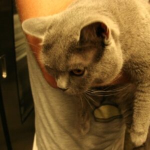 En attendant le Tour de France