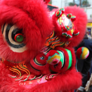 annee-du-dragon-502