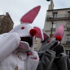 annee-du-lapin-371